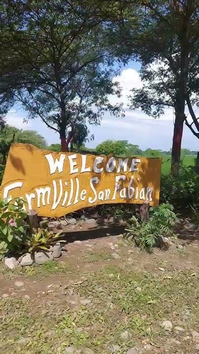 FARMVILLE SAN FABIAN, PANGASINAN .